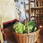 酒店 蒙尼高尔酒店 圣洛伦索-德莫鲁尼斯